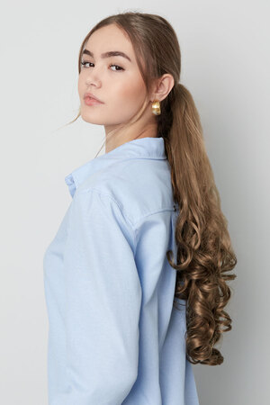 Ponytail clip fancy - gold brown h5 Picture2